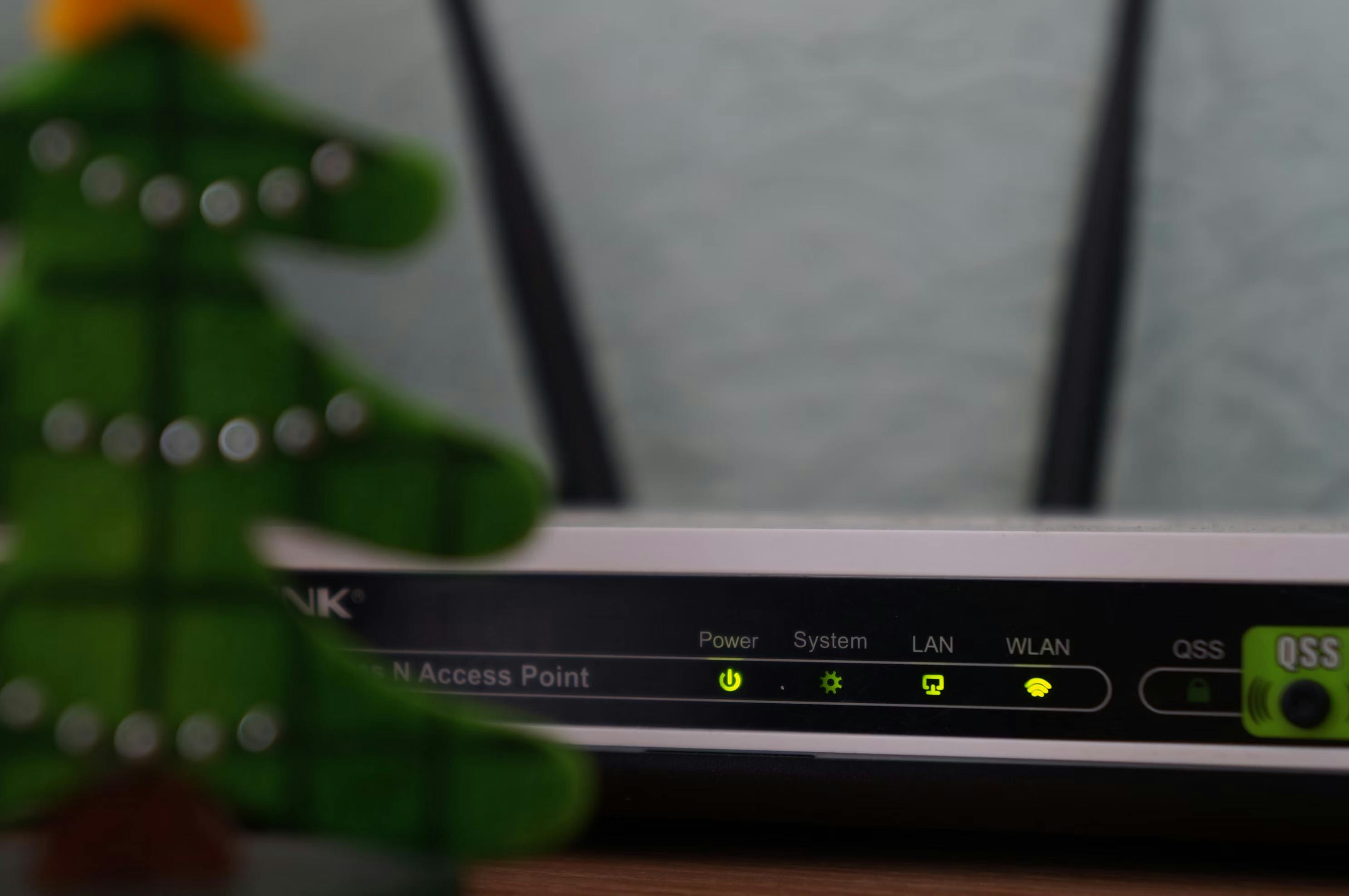 a router behind plants